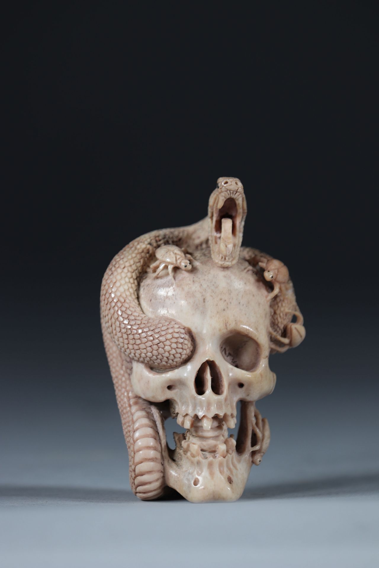 Memento Mori, vanity carved with a snake and insects skull