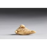 Netsuke carved - a frog on a leaf. Japan Meiji 19th century