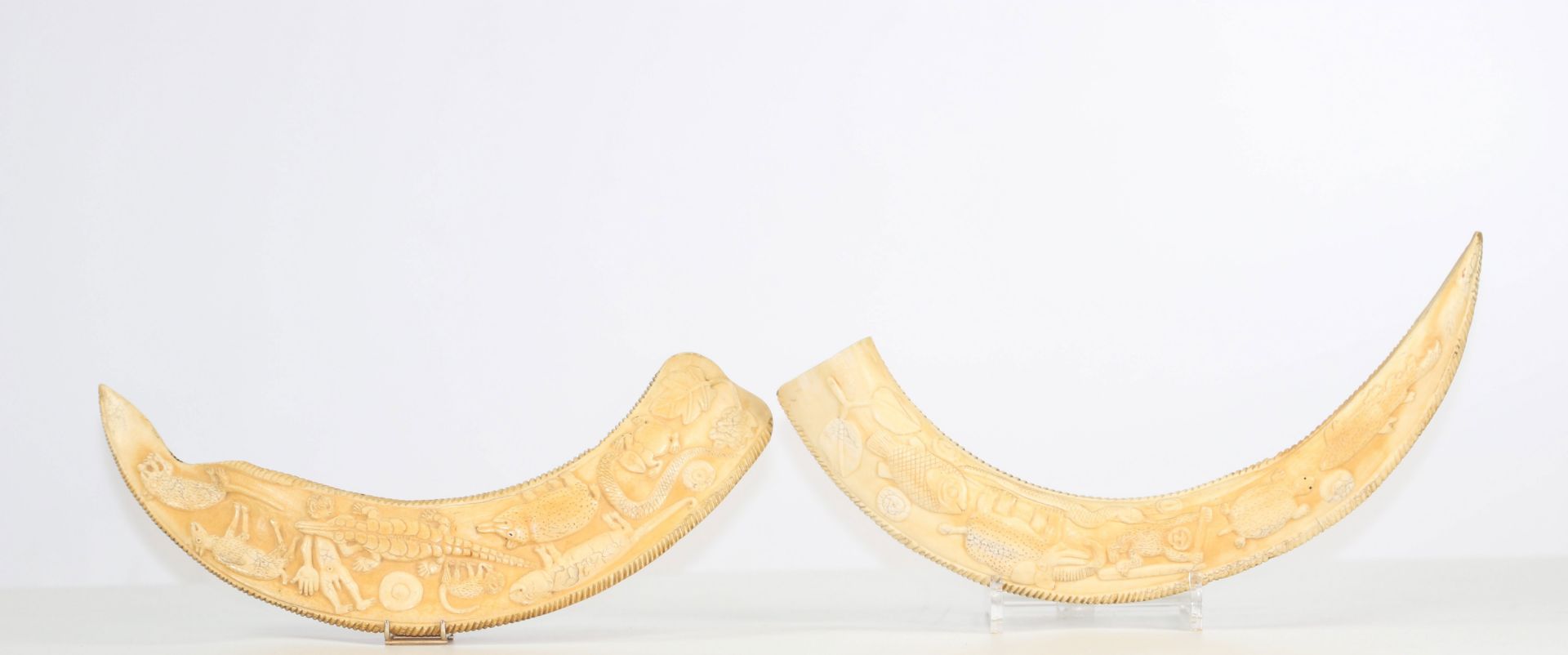 Africa Pair of carved tooth Loango Congo early 20th century
