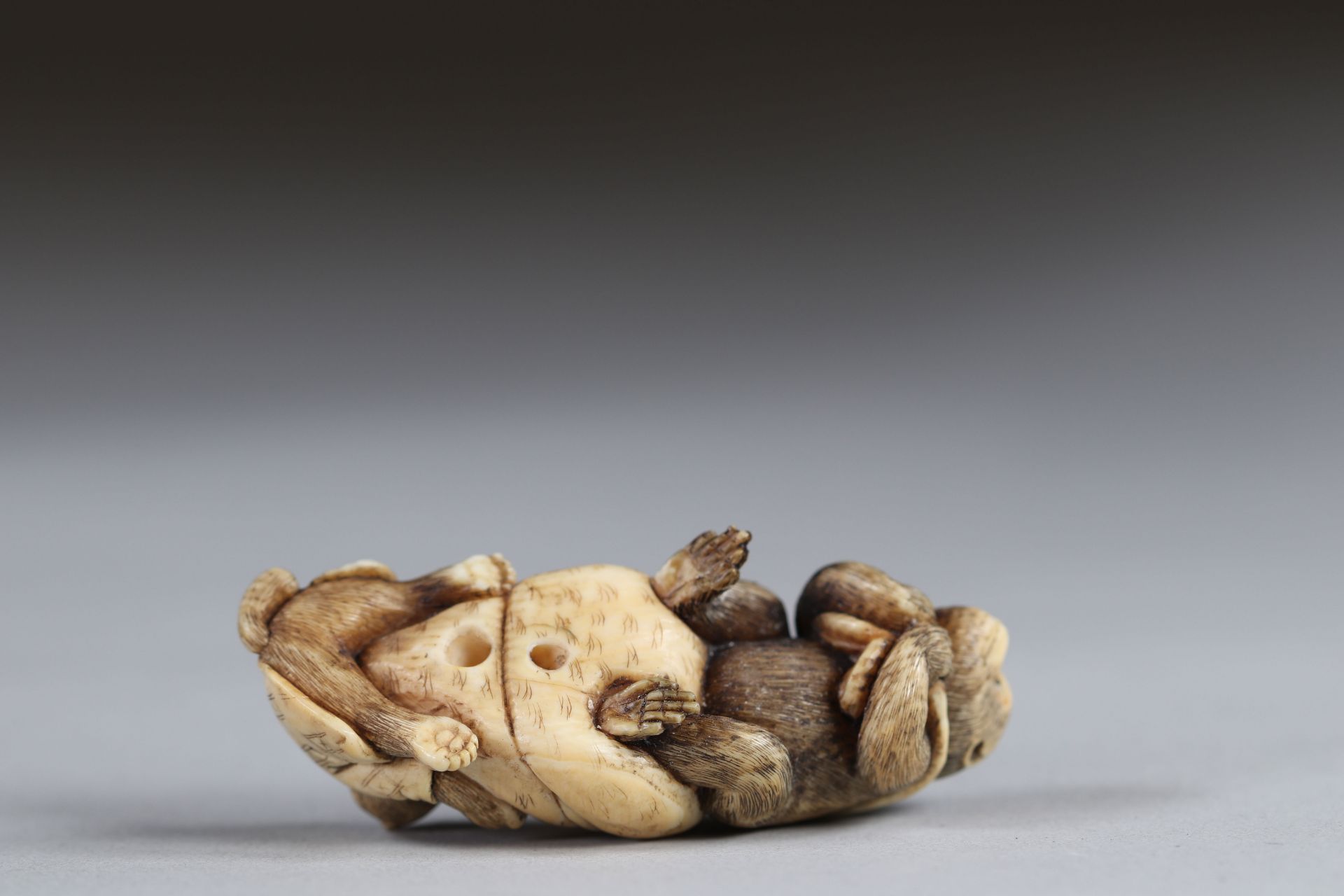 Netsuke carved - a monkey pulling a bag and a teddy bear. Japan Meiji period around 1900 - Image 4 of 4