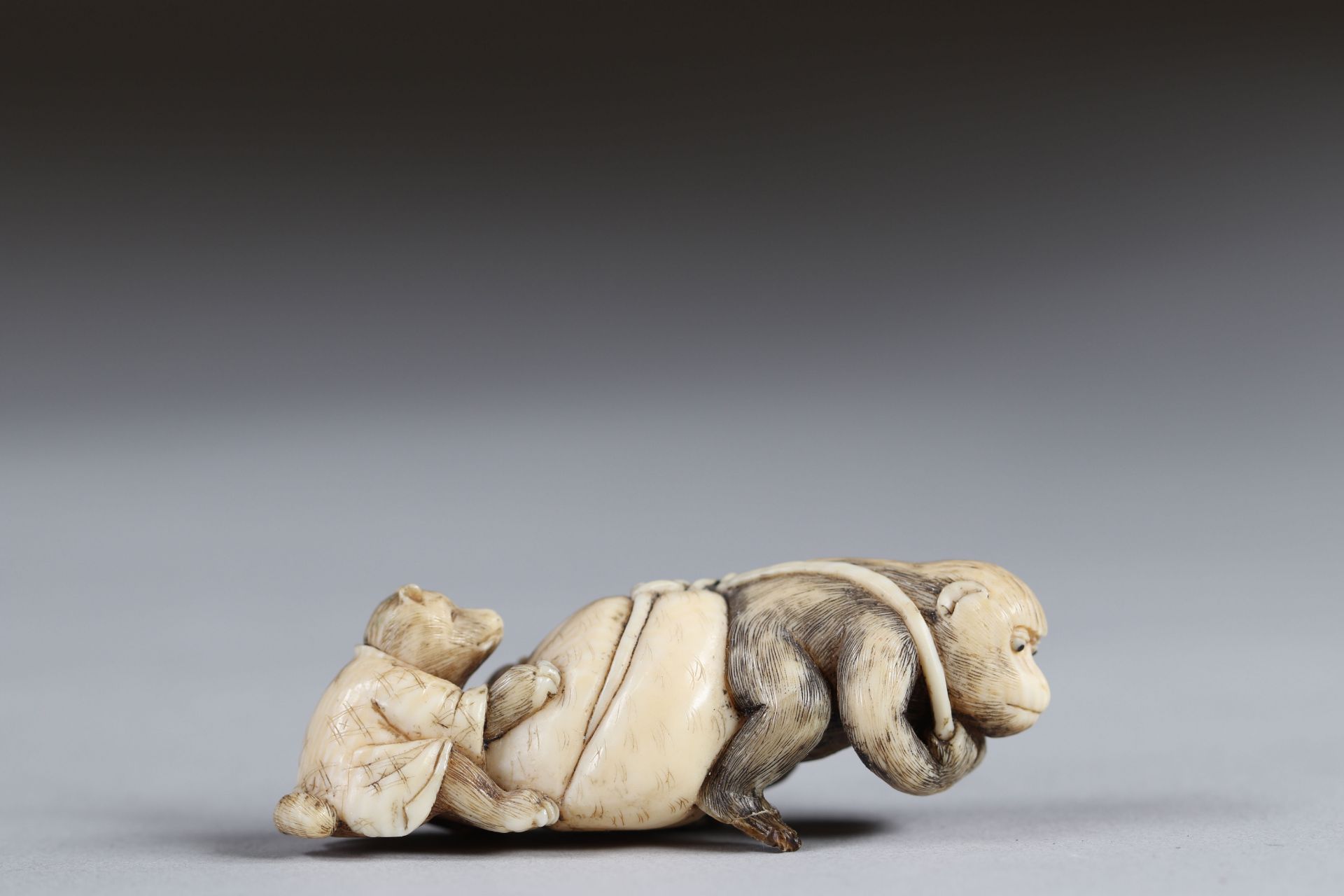 Netsuke carved - a monkey pulling a bag and a teddy bear. Japan Meiji period around 1900 - Image 2 of 4