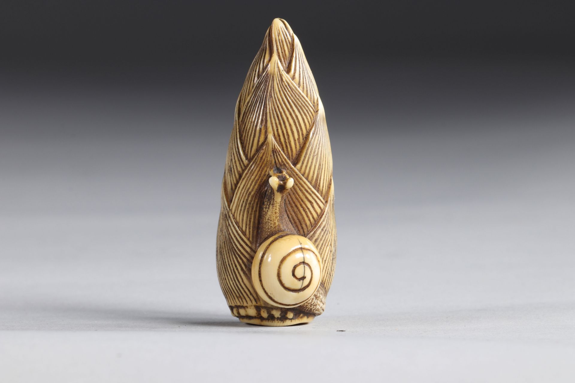 Netsuke carved - an ear surmounted by a snail. Japan Edo period - Image 4 of 5