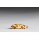 Netsuke Manju sculpted - a knotted shell. Japan Edo period