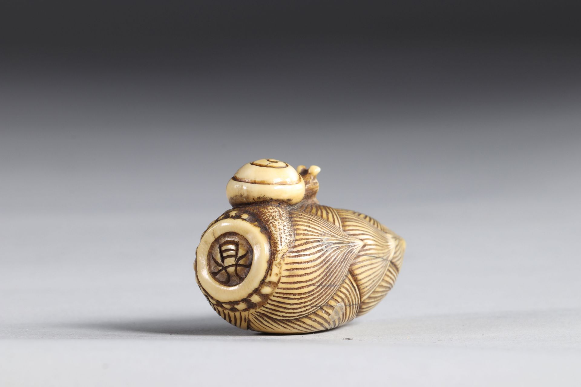Netsuke carved - an ear surmounted by a snail. Japan Edo period - Image 2 of 5