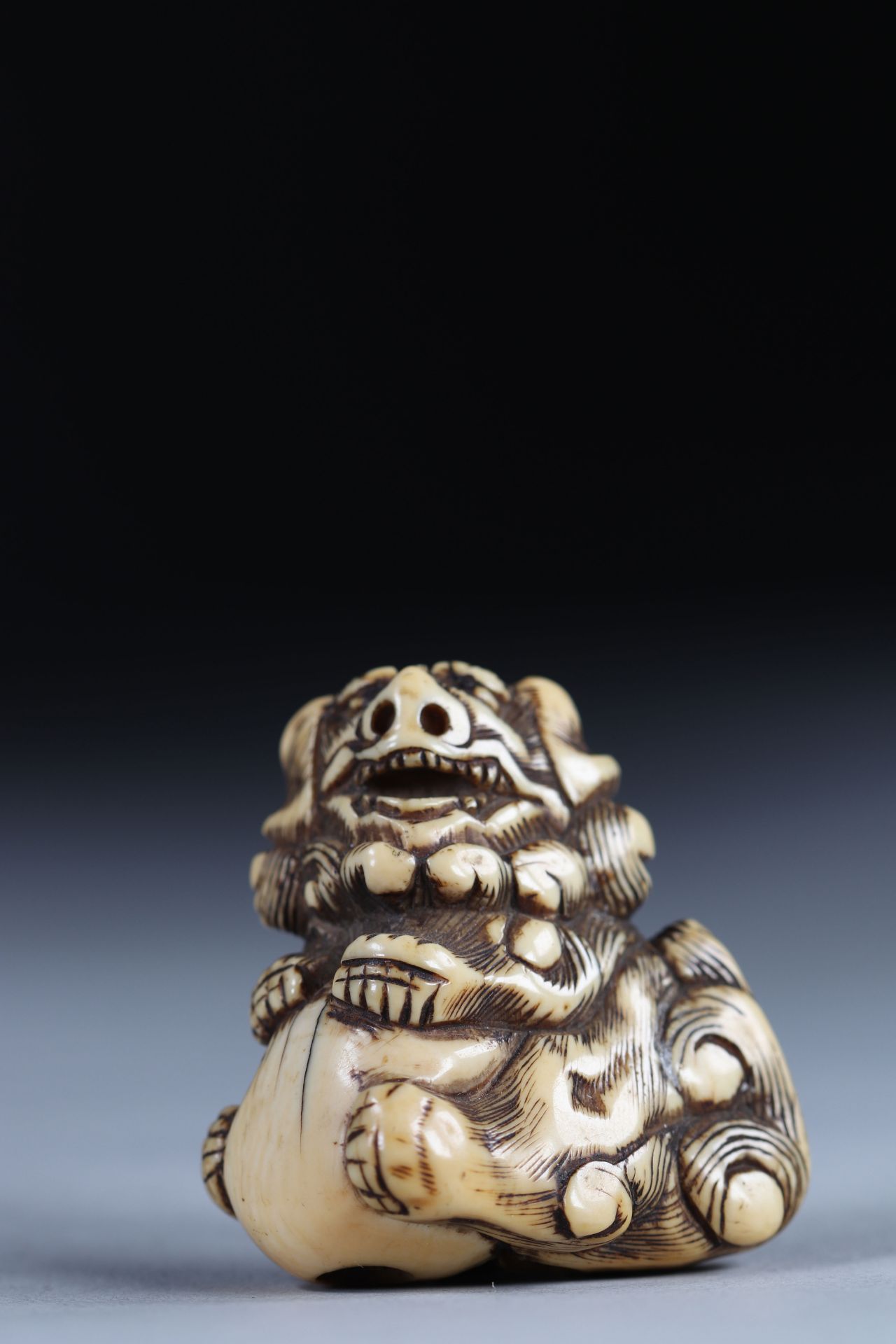 Netsuke carved - a ShiShi on a ball. Japan Edo period