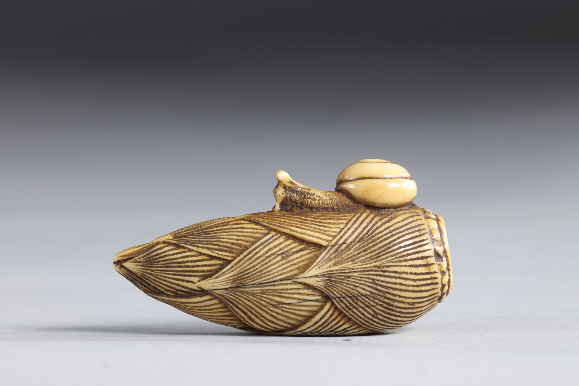 Netsuke carved - an ear surmounted by a snail. Japan Edo period