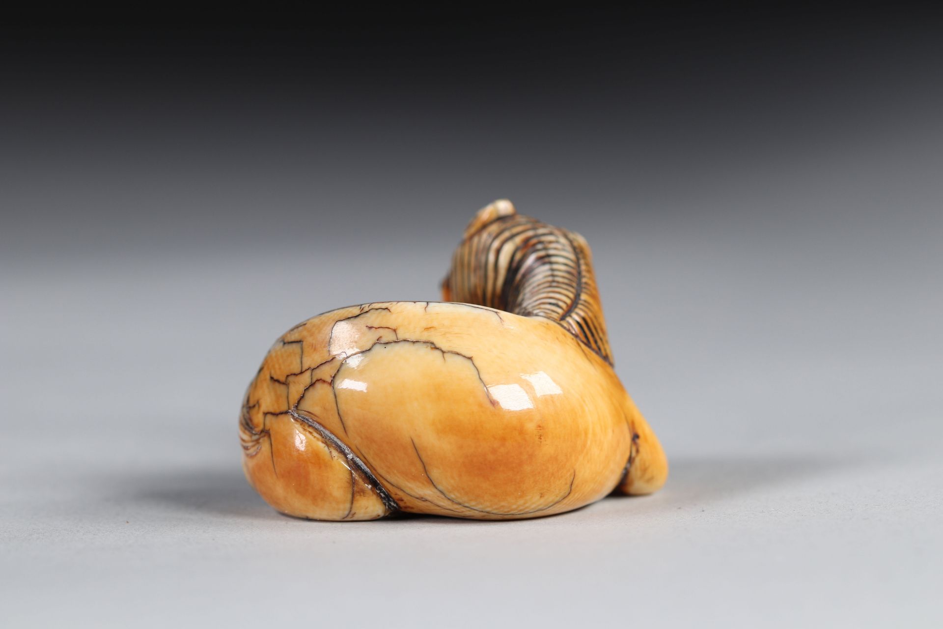 Netsuke carved - a recumbent horse. Japan Edo period - Image 3 of 4