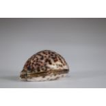 Shell snuffbox mounted in box