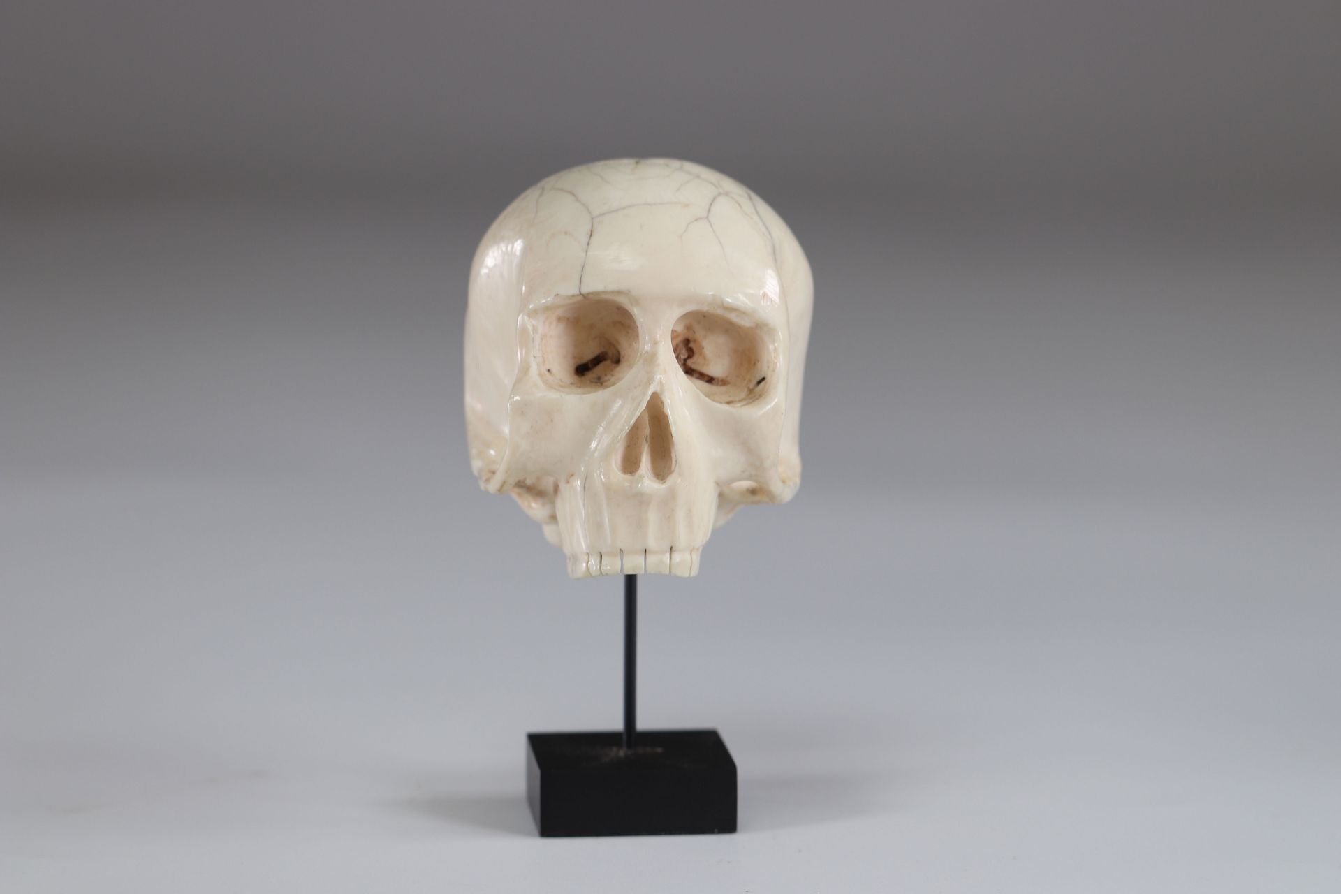 Memento mori important sculpture of a skull 19th