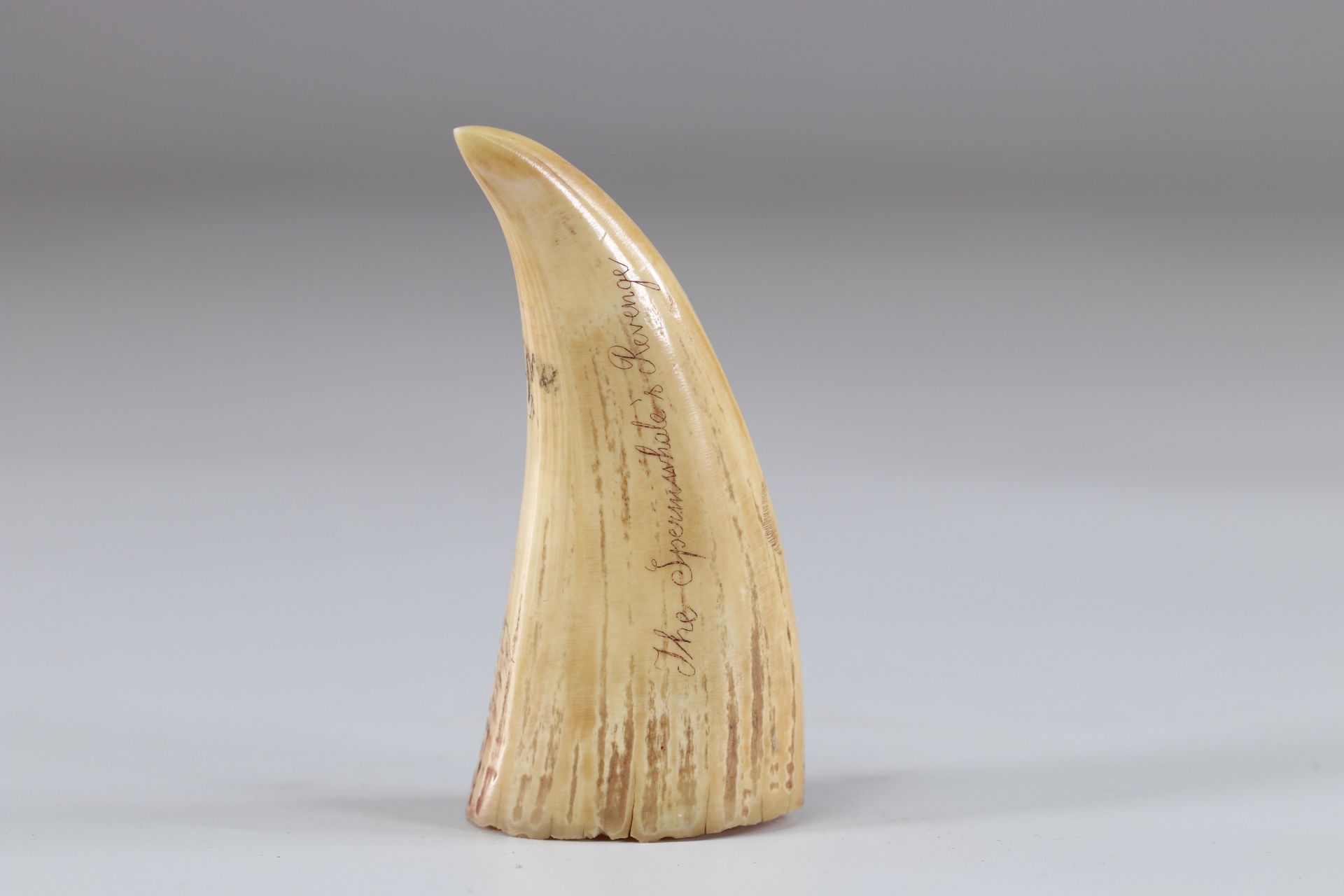Pontoon work "engraved tooth" whaling 19th - Bild 2 aus 2