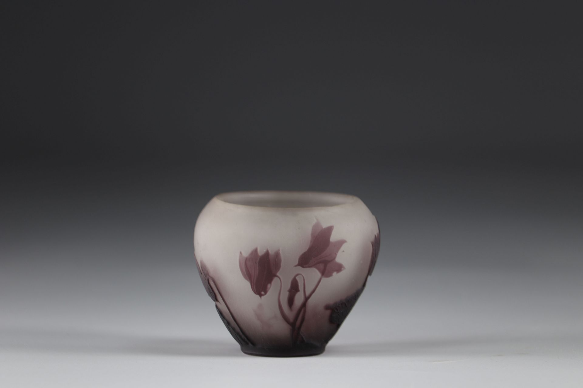 Emile Galle vase cleared with acid vegetable decoration - Image 3 of 4