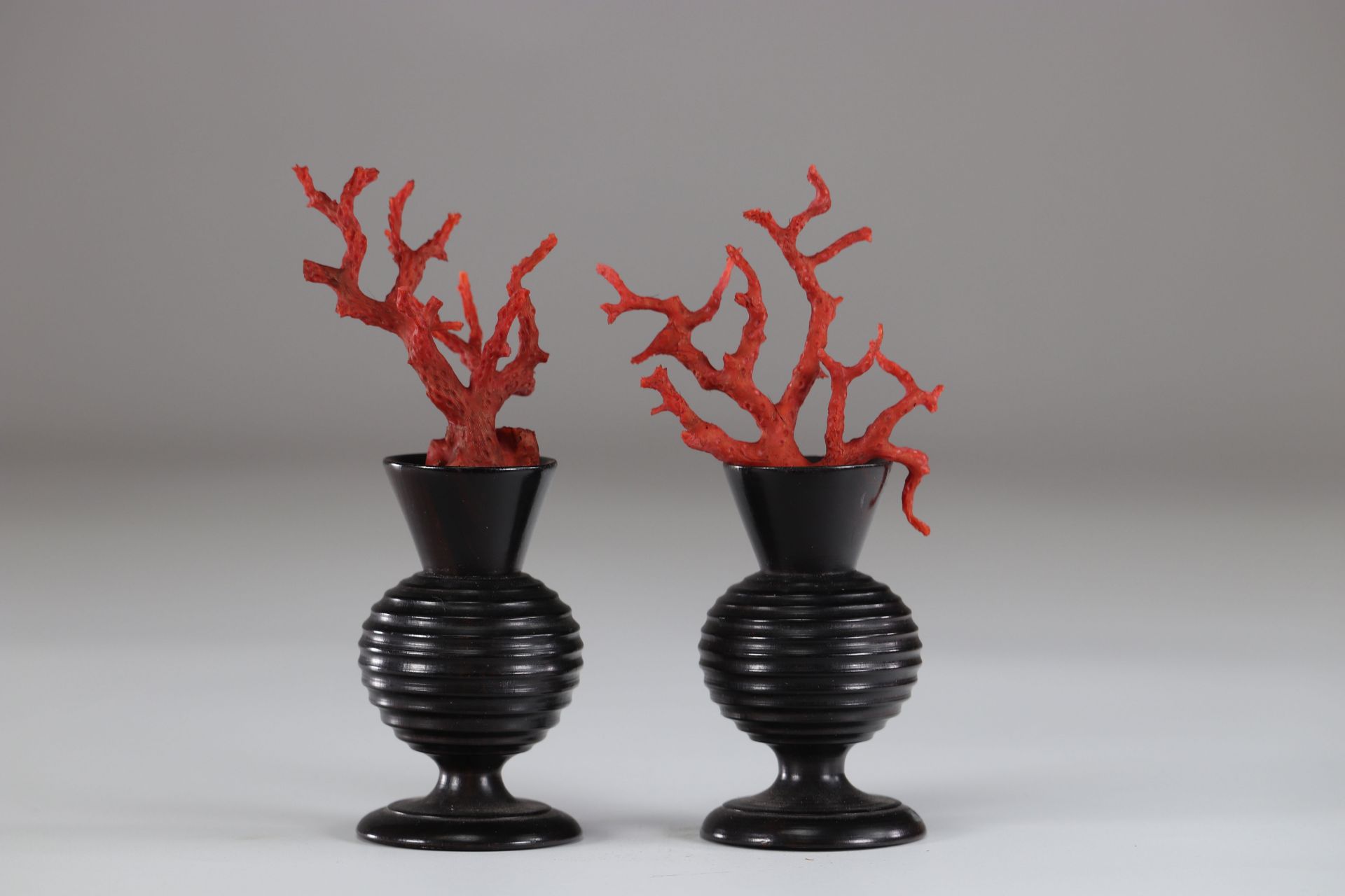 Curiosity pair of vases decorated with red coral 19th