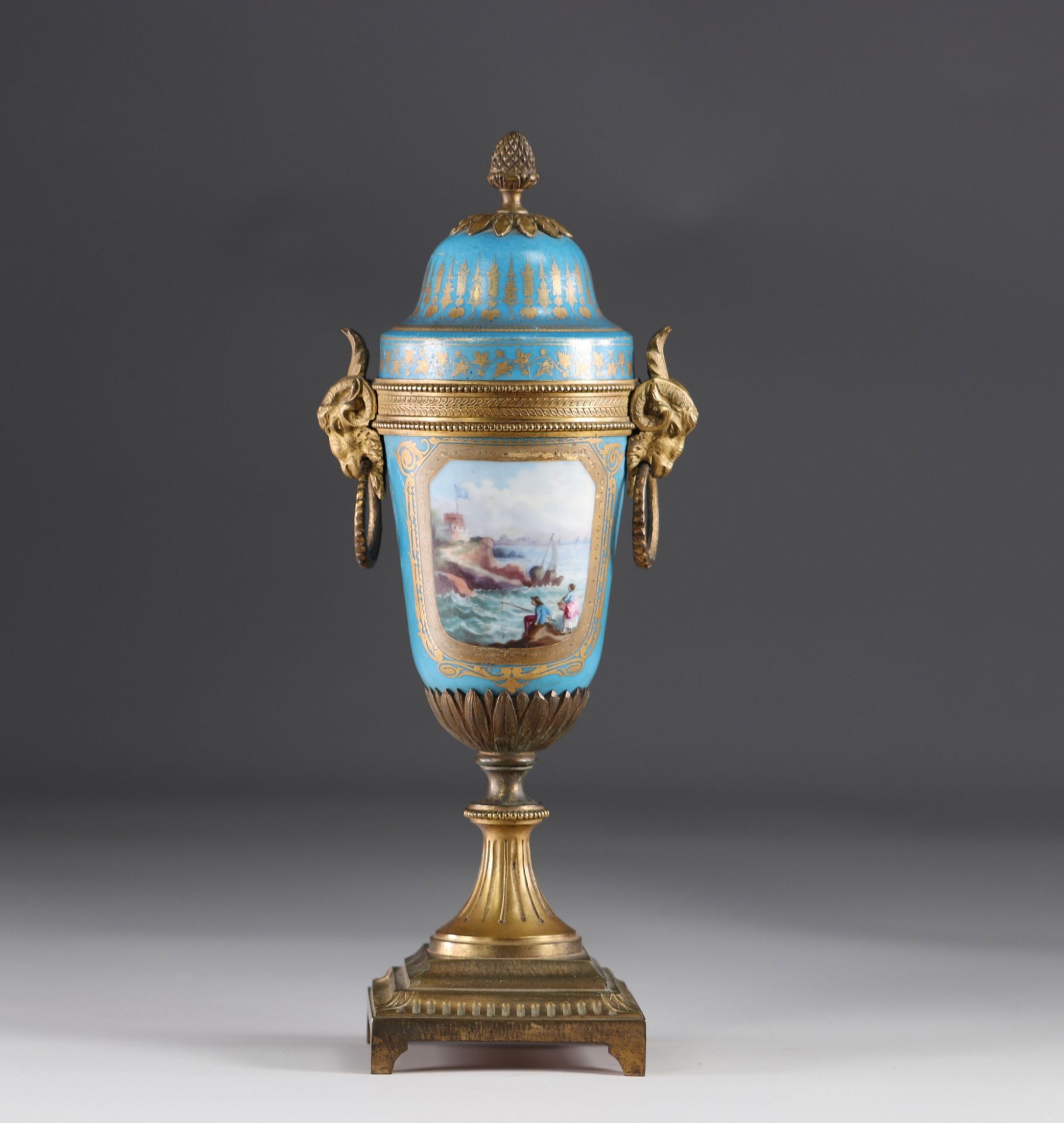 Sevres porcelain covered vase