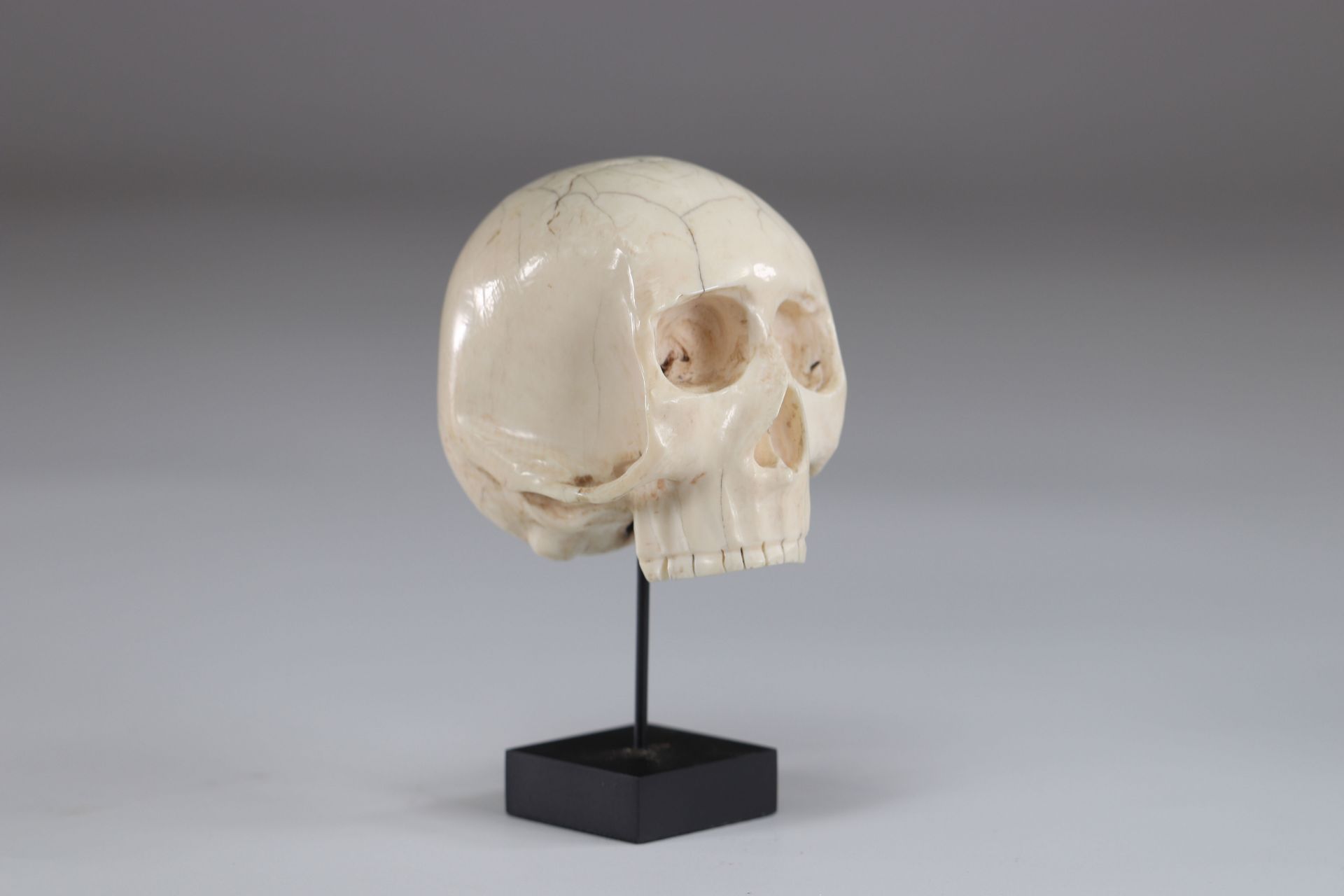 Memento mori important sculpture of a skull 19th - Image 2 of 4