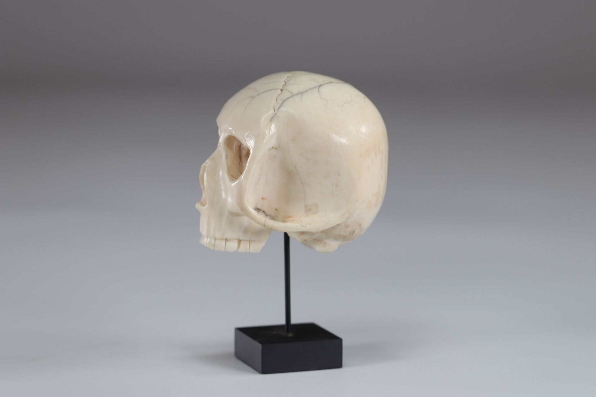 Memento mori important sculpture of a skull 19th - Image 3 of 4