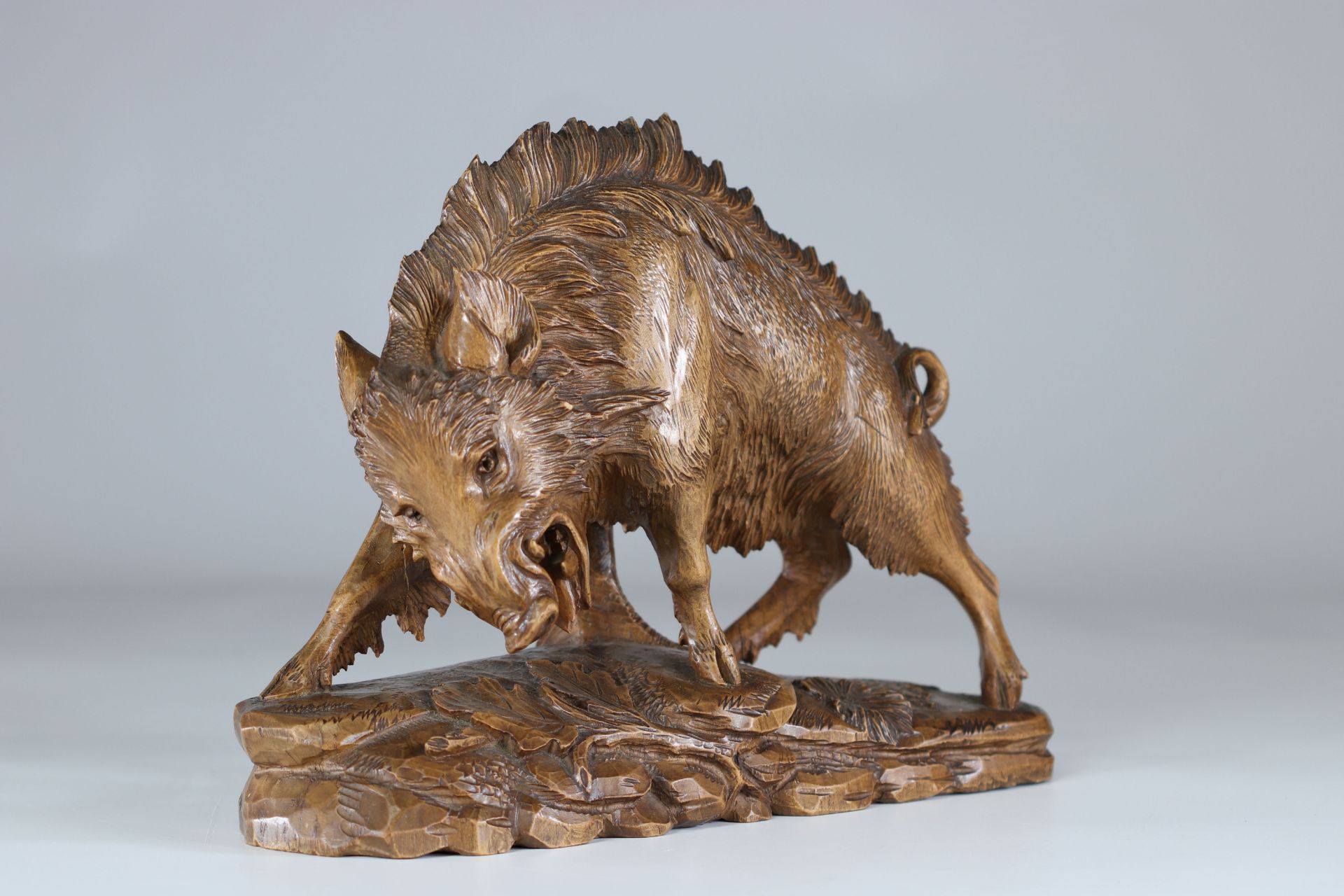 Black forest imposing carved wooden boar - Image 3 of 3