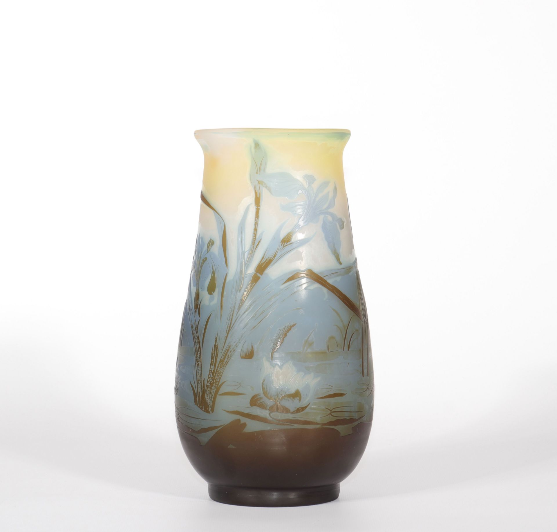 Emile Galle vase with aquatic decoration