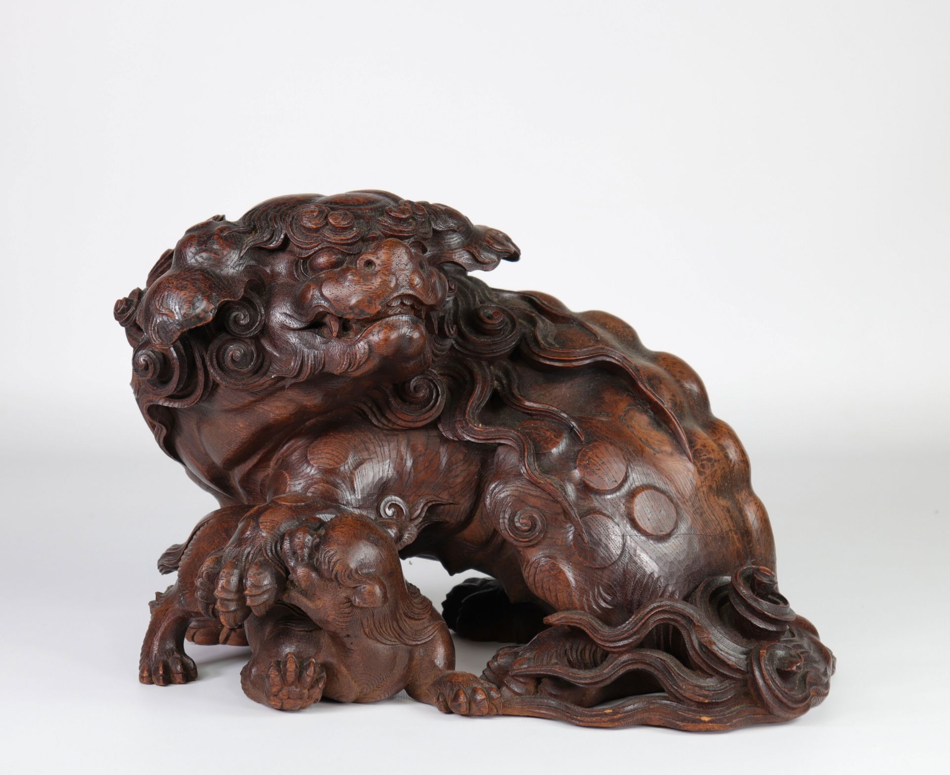 Japan imposing Shishi in very finely carved wood 19th