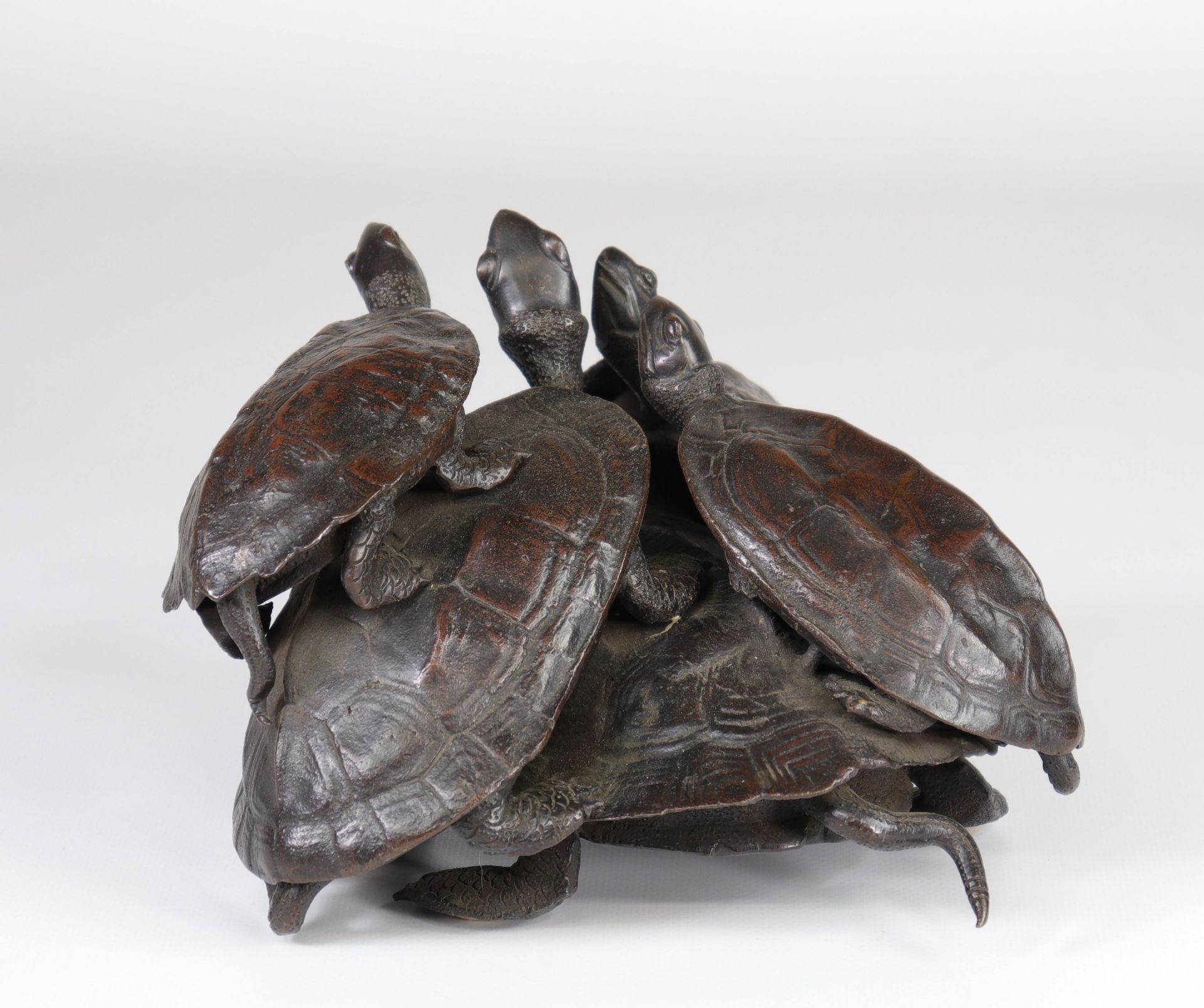Japan group of bronze turtles 19th ex collection De Vestel Georges - Image 4 of 5