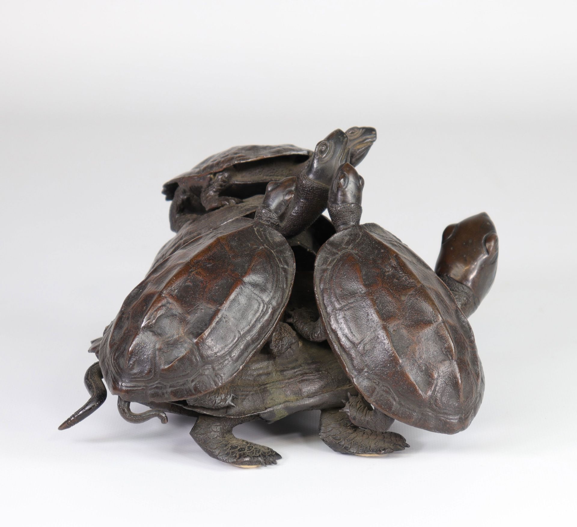 Japan group of bronze turtles 19th ex collection De Vestel Georges - Image 5 of 5