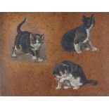 Henriette RONNER (1821-1909) cat studies