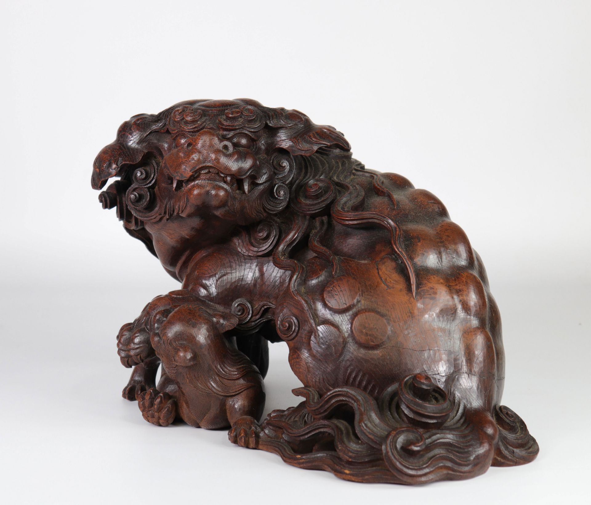 Japan imposing Shishi in very finely carved wood 19th - Image 2 of 6