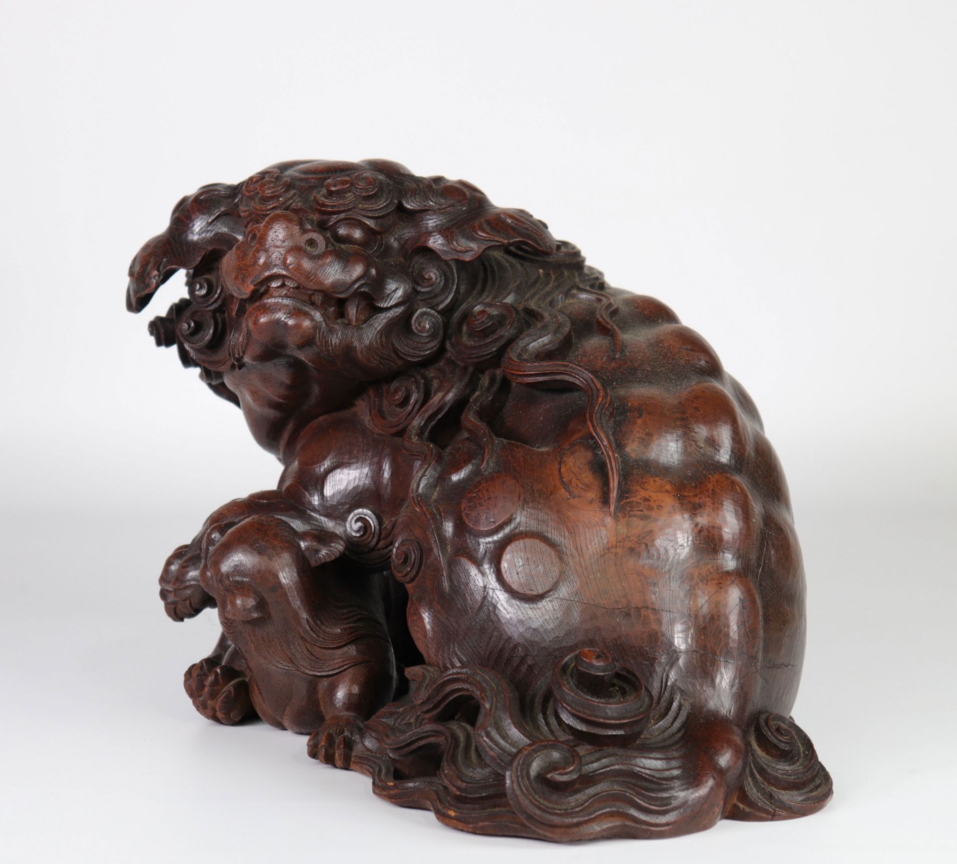 Japan imposing Shishi in very finely carved wood 19th - Image 6 of 6