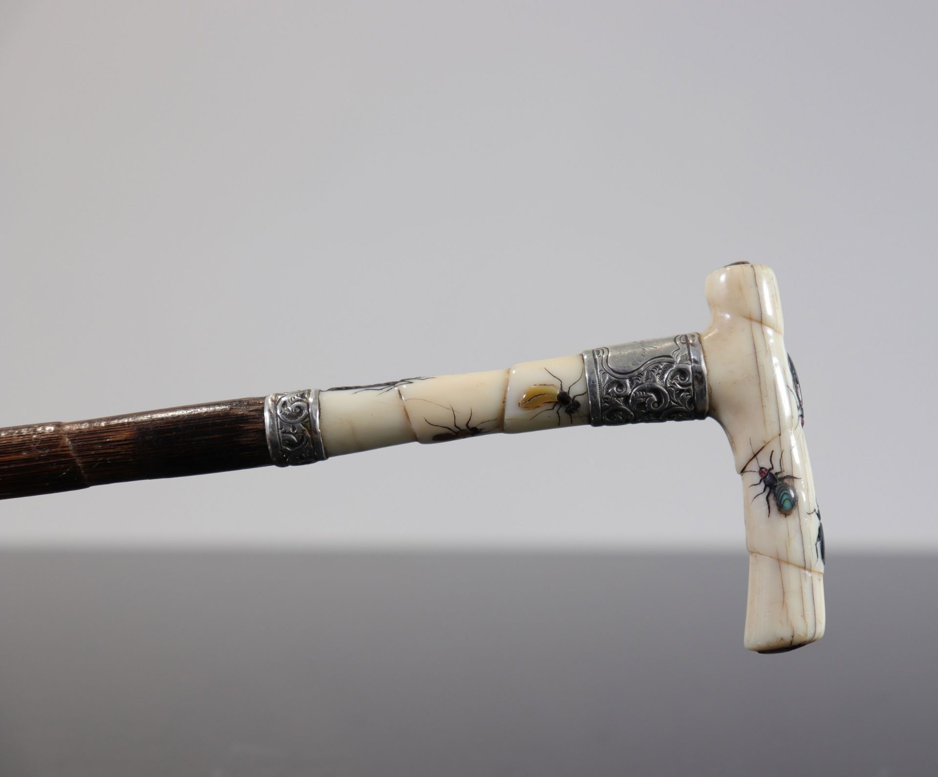 Japan, Shibayama, Walking stick with pommel inlaid with insects in stone and mother-of-pearl, 19th - Image 2 of 7