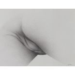 "Jean-Marie GOFFIN (1946) Charcoal on "erotic" paper"