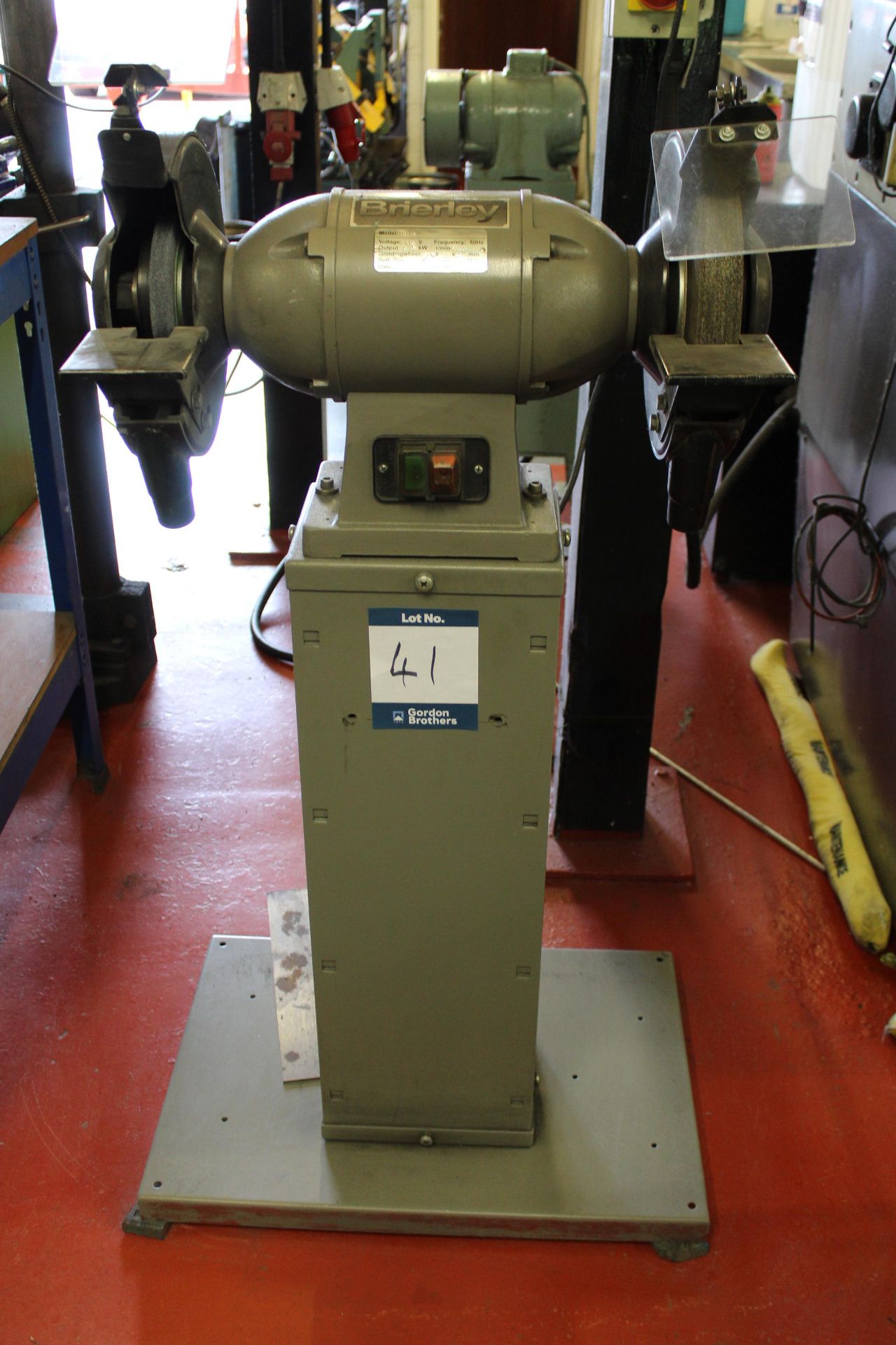 Brierley TG-10 pedestal mounted double ended grinder Serial No. 129107 (2007), grinding wheel: 250mm