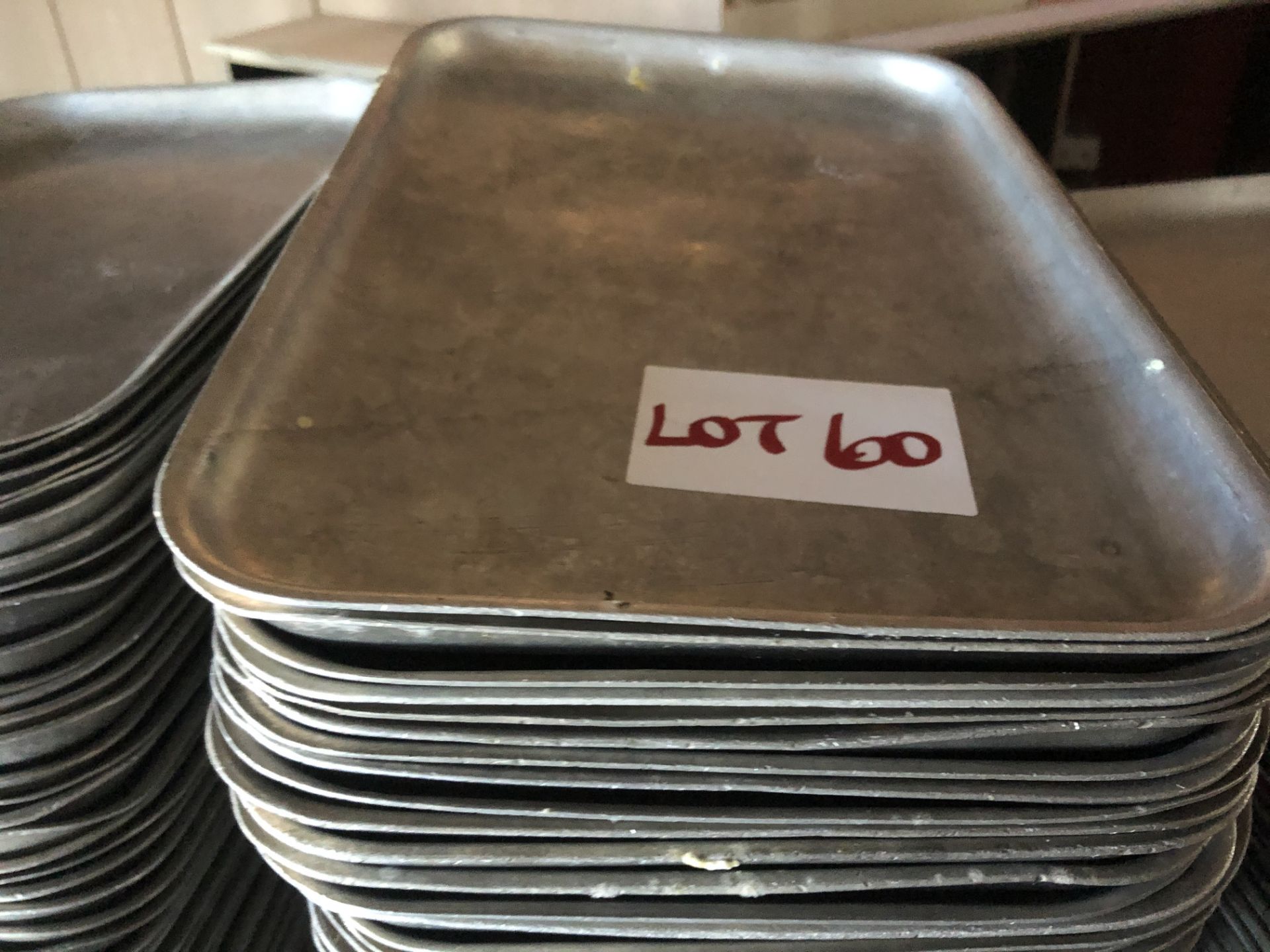 QUANTITY OF METAL TRAYS (220 x 320)