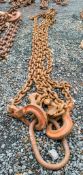 8 tonne 16mm 2 leg lifting chain