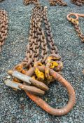 Heavy duty 2 leg lifting chain Approximately 30 tonne