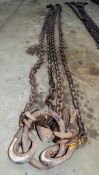 2 leg lifting chain