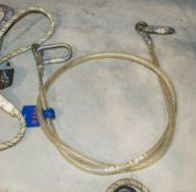 Wire fall arrest lanyard LI17N978