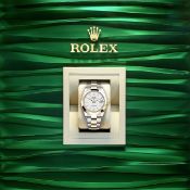 **BRAND NEW** Rolex Date-Just 41mm Oystersteel and Yellow Gold - Silver dial - Oyster Bracelet