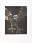 Tony Evora (Cuban b.1937) Eagle, signed in pencil and dated '76 lower right, artist proof,