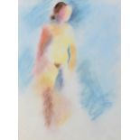 Joan Roche (British Contemporary) Nude Study, pastel, measurements 39 x 29 cm, frame 44 x 34 cm