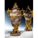 Paar imposante Louis XV-Deckelvasen in Marmor und vergoldeter Bronze