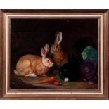 Drei Kaninchen mit Kohl und Möhren