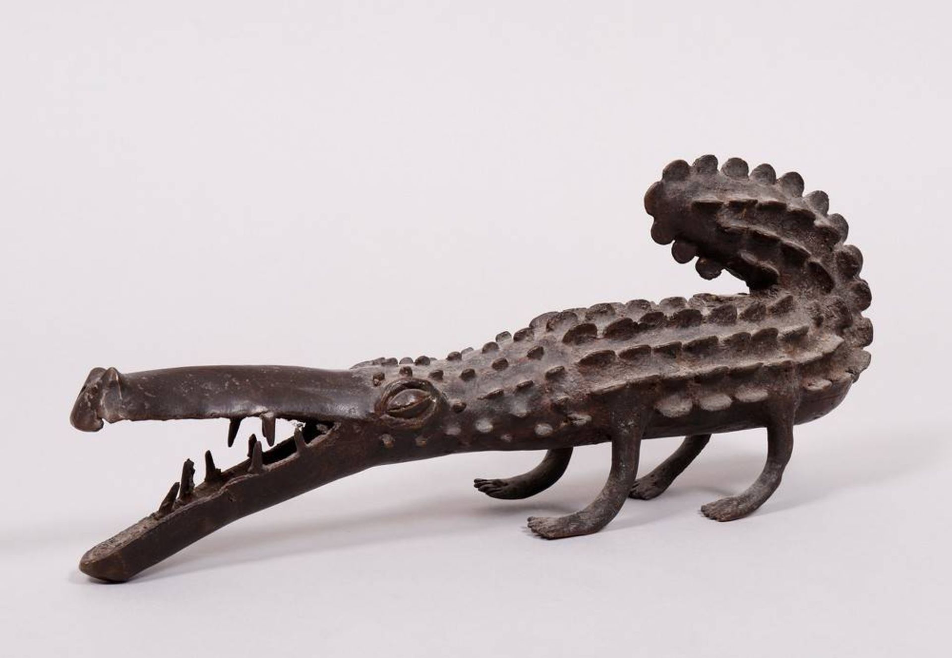 Crocodile, probably Burkina Faso, Africa