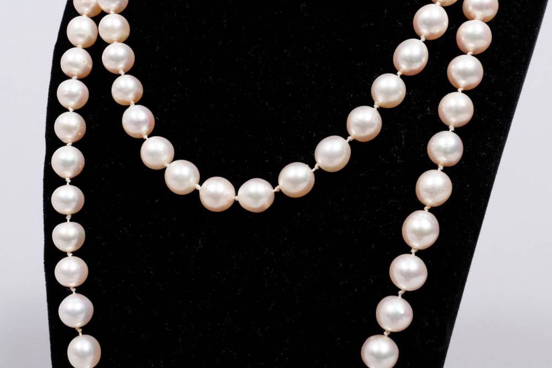 Pearl necklace, 585 WG ball clasp - Image 2 of 4