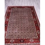 Teppich, Bidjar, Indien, Wolle