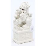 A Chinese blanc de Chine porcelain Dog of Foe with minors on moulded plinth