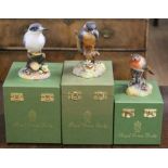 A Royal Crown Derby, Fine Bone China bird figure: Robin. Including original hard-case. Factory