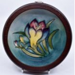 Moorcroft: A Walter Moorcroft 'Crocus' pattern coaster on a light green ground in a wooden frame.