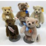 Bears: A collection of five Steiff bears, all with buttons and tags.  Provenance: from the Estate of