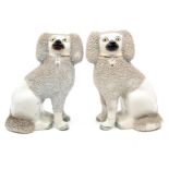 A pair of late 19th Century Staffordshire poodles, black muzzles, with gilt collars, one with broken