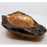 Specimens - a geode, a quartz specimen, green glass, barnacles; and a burr wood shaped bowl (5)