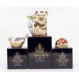 A koala and baby Royal Crown Derby paperweight, along with Derby Lady bug and wren, all gold